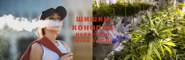 соль ск Верхний Тагил