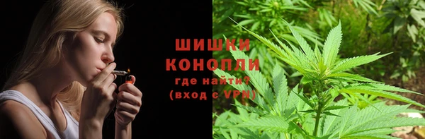 сатива Бронницы